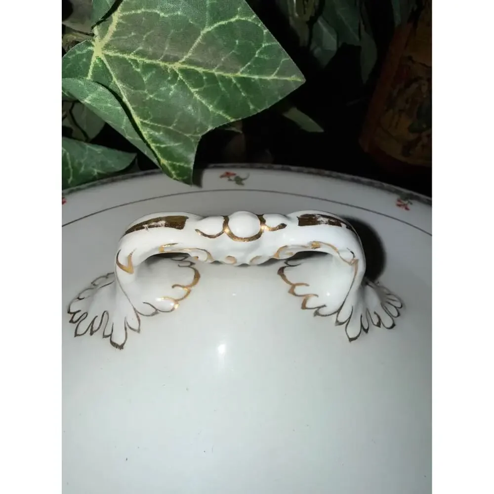 Antique Serving Bowl with Lid, John Maddock & Sons Ltd., England Royal Vitreous,
